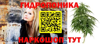 кокаин колумбия Гусев